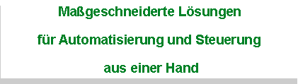 Textfeld: Ma�geschneiderte L�sungenf�r Automatisierung und Steuerung aus einer Hand